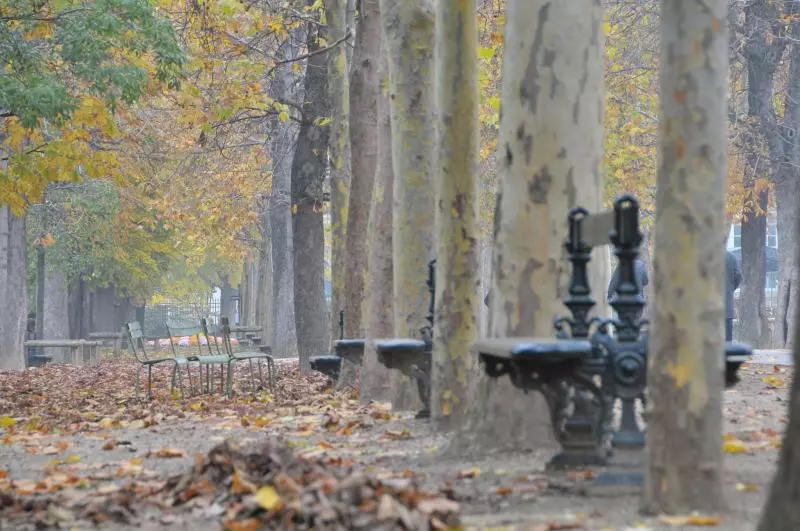 Herbst im Jardin du Luxembourg